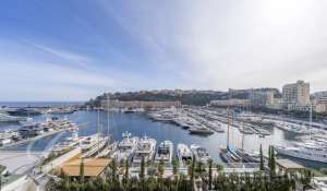 Affitto Appartamento Monaco