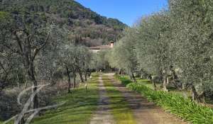 Vendita Casa Grasse