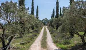 Vendita Cascina Saint-Saturnin-lès-Apt