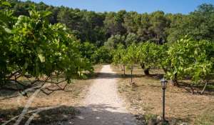 Vendita Castello Hyères