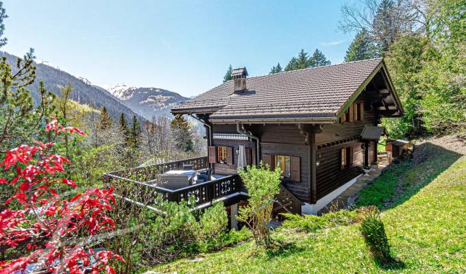 Vendita Chalet Gryon