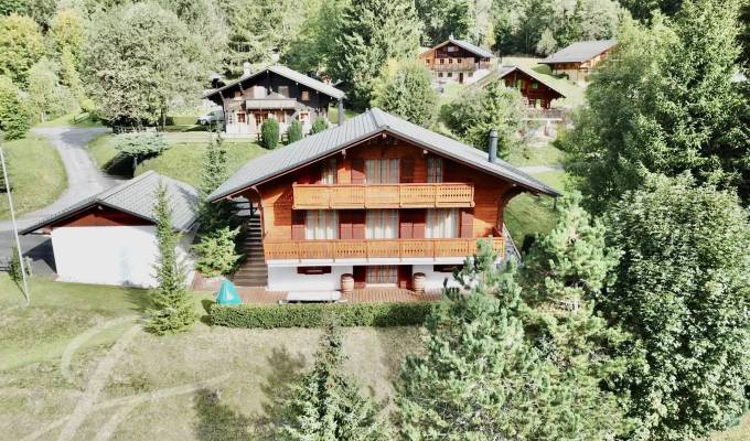 Vendita Chalet Les Diablerets