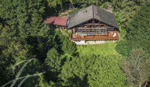 Vendita Chalet Monthey