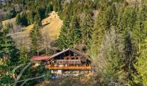 Vendita Chalet Monthey