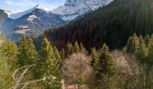 Vendita Chalet Morgins