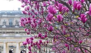 Vendita Pensione Paris 1er