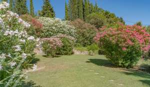 Vendita Proprietà Auribeau-sur-Siagne