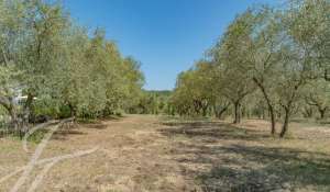 Vendita Proprietà Châteauneuf-Grasse