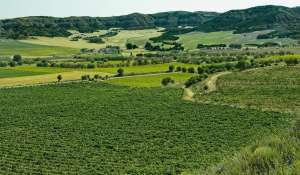 Vendita Terreno Cuenca