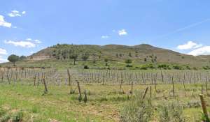 Vendita Terreno Cuenca