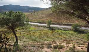 Vendita Terreno Cuenca