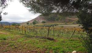 Vendita Terreno Cuenca