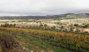 Vendita Terreno Cuenca