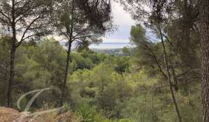 Vendita Terreno edificabile Palma de Mallorca