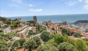 Vendita Terreno edificabile Roquebrune-Cap-Martin