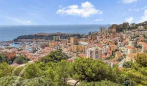 Vendita Terreno edificabile Roquebrune-Cap-Martin