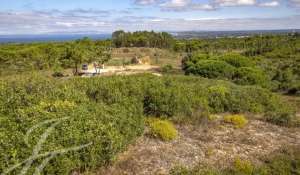 Vendita Terreno edificabile Sesimbra