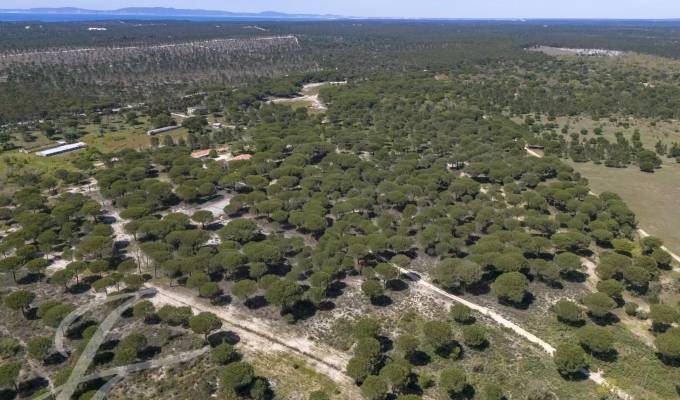 Vendita Terreno Grândola