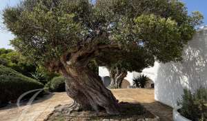 Vendita Villa Ciutadella de Menorca